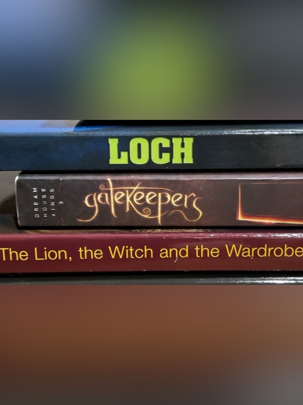 Loch, gatekeepers & Lion, Witch & Wardrobe fantasy paperback books 📚
